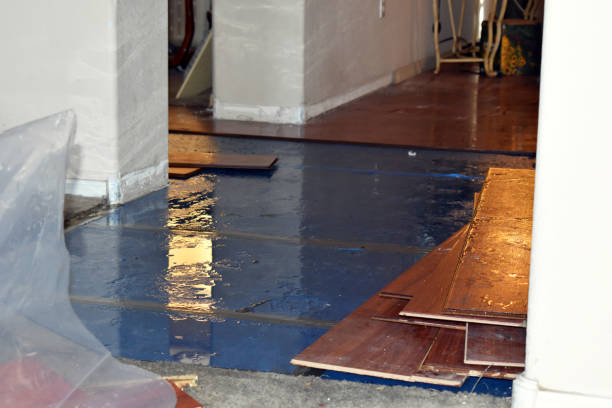 Professional Basement Flood Cleanup technician working in Bradley, OK